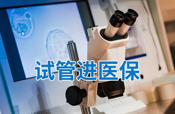 <b>【试管医保】2025年全国试管费用医保报销比例介绍！</b>