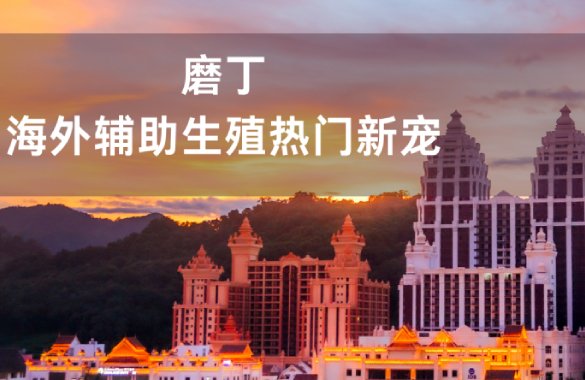 <b>2025老挝磨丁试管安全吗？磨丁试管成功率如何？</b>