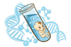 试管成功之路：一般需要尝试几次才能如愿？了解试管技术允许的最大