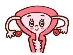高龄试管成功备孕必看！生殖科主任的5个