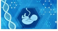 AMH值对试管有多重要？详解正常范围及其对试管成功率的影响！