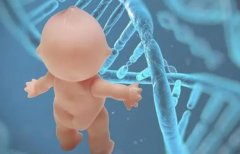 深入了解试管：女性在治疗过程中可能遇到的疼痛点