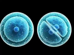 三代试管查染色体查哪几样？湖北随州哪里能做三代试管手术？