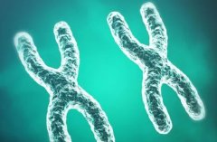 想知道北京大学人民医院哪些医生擅长试管?这篇推荐文章必看!