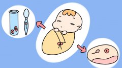 宜宾长宁县试管服务详解：优选医院与成功保障