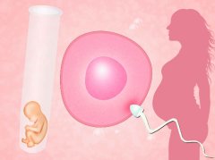 单身女性能否进行试管？全面解析所需条件与现状