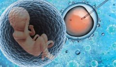 许昌三代试管医院深度剖析：专业团队、先进设备与适宜人群