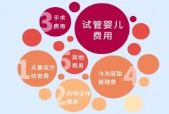 铜仁三代试管费用大揭秘！2023年最新数据，助您好孕