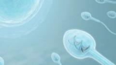 分享合肥试管价格，三代试管多少钱？