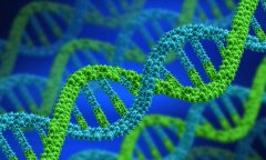 想知道Y染色体C区缺失试管成功率？答案在这里！