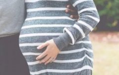试管后乳头疼，怀孕几率会大增？