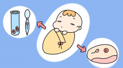 试管双胞胎“造价”大揭秘！费用究竟咋算的？