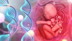 如何准确判断试管移植是否成功？专业解析与经验分享