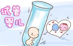 成都单身女性试管之路：权威医院推荐与成功率解析