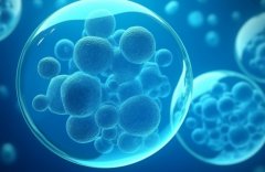 合肥私立试管机构大盘点，备孕男性吃藕粉能提升精子质量？