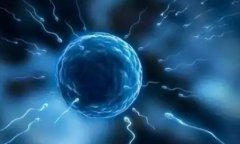 合肥第三代试管费用大揭秘！价格区间4-15万！