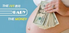 长沙试管婴儿费用全解析：明细与预算指南