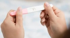 子宫内膜薄怎么办？补佳乐和这些食物能帮你！