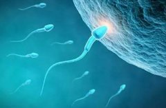 精子弱对生殖能力的影响及医学应对方式