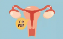 一文读懂子宫内膜增厚，怎么调理跟我学起来！
