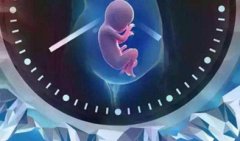 泉州妇幼三代试管费用揭晓，明细一览无余！