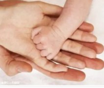 ‌景德镇妇幼保健院试管费用及报销政策全解析‌
