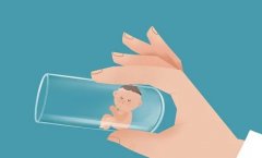 双角子宫做试管，需满足哪些条件？子宫弹性是关键！