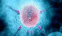 a加b级精子向前运动率13%，属于弱精吗？