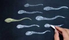 精子生死大考验！生理盐水和正常水会让它们‘消失’吗？