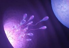 揭秘试管移植：子宫内膜检查不可少！