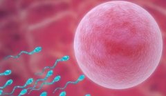 上海三代试管医院哪家强？这三家绝对值得你考虑！