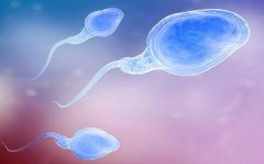 精子存活率低也不怕！试管婴儿提高受精率，这些方法你得知道！