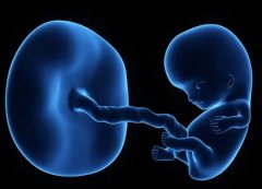 子宫肌瘤患者必看！这些克星食物助你恢复健康！