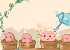 意外三胎来袭！经济条件一般，该如何抉择？