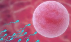 女性双角子宫试管，一次成功有可能吗？治疗建议与方案来了！