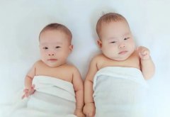 试管生双胞胎要多少钱？单胎双胞胎成功率全知道！