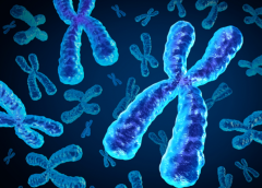 <b>【好柿生殖指南】三代试管婴儿适合哪些人群?是否可以选择男女?真正读</b>