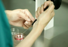 <b>【助孕指南】三代试管助孕成功率高吗?三代试管能否包成功(试管助孕攻</b>