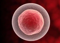 <b>【养卵指南】高龄女性卵子质量差改善方法?三代试管助孕养卵攻略</b>