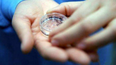 <b>【供卵指南】供卵试管多少钱?高龄做供卵试管成功率,供卵试管婴儿的</b>