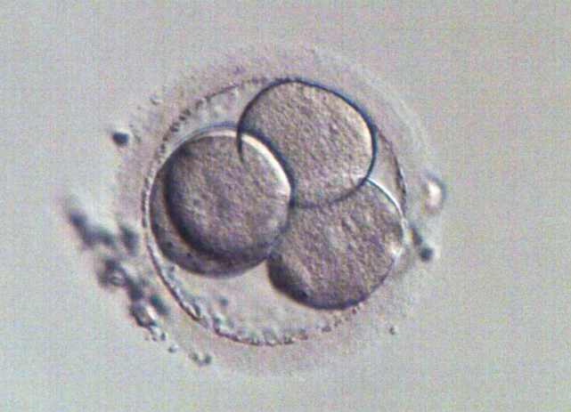 为什么每次胚胎质量都好却不着床?