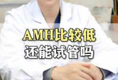 【好柿生殖攻略】amh0.5还能做试管吗?amh值低做试管成功率有多少?amh0.