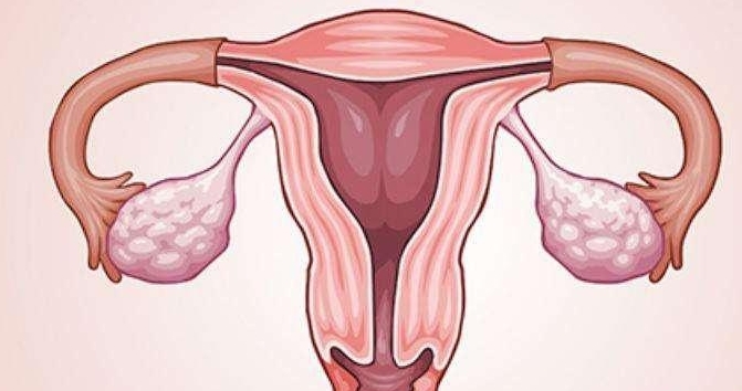 单角子宫如何实现自然受孕？