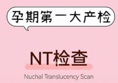 <b>试管孕妈必看!NT检查全攻略:轻松过关,接好孕!</b>