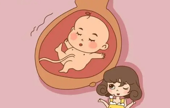 供卵试管什么时候移植成功率是最高的呢？