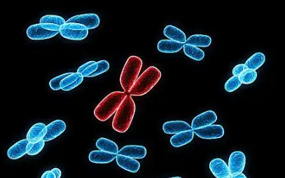 拿到一份“不好”的激素六项报告,应该如何调整心态?