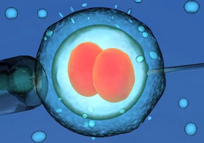 发现卵泡数量比别人少,这和卵巢功能有直接关系吗?