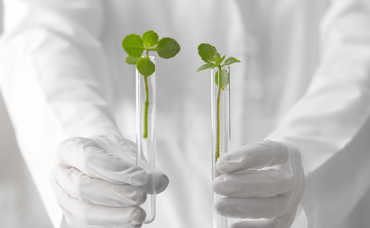 促排期间可以同房吗?为什么后期不建议?