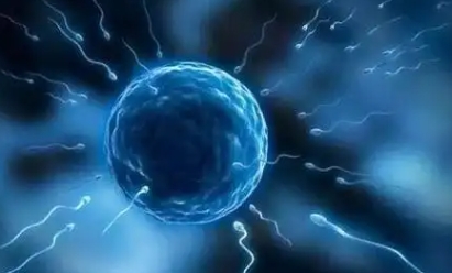 发现子宫内膜薄/厚,或者有息肉,会影响本次移植吗?