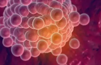 卵泡的生长情况(大小、均匀度)能预测卵子质量和胚胎质量吗?